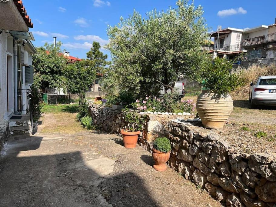 Guesthouse Simou With View 3 Bedrooms Arachova Dış mekan fotoğraf